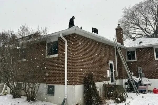 缩略图 | 加拿大老太太遭遇屋顶维修骗局被骗$7000：“你家屋顶要塌”！