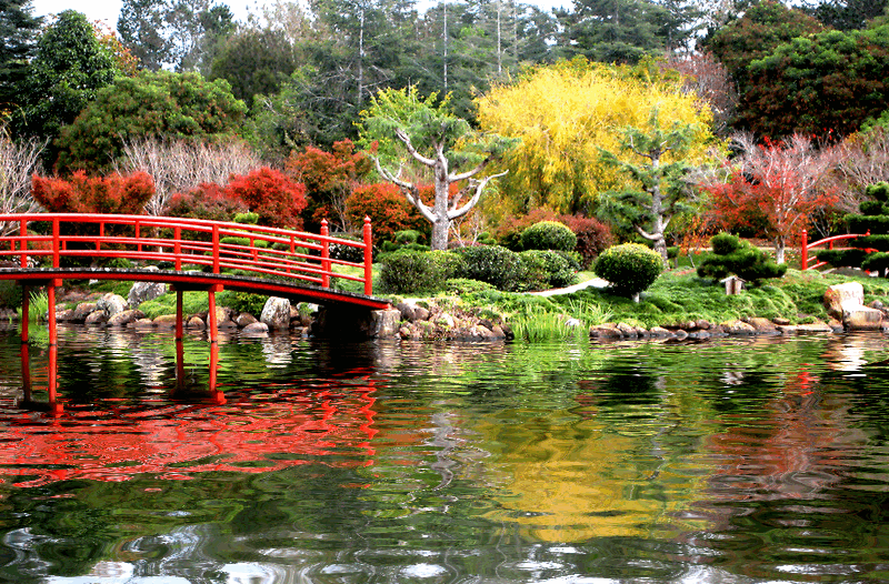 缩略图 | 禅宗花园 (Zen Garden) 设计：为您的后院景观增添一些禅意