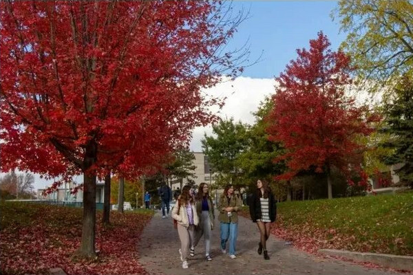 缩略图 | 加拿大留学生暴减，大学周边房租大跳水，多伦多下降8.1%！