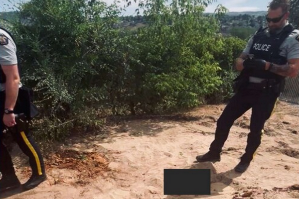 缩略图 | 修花园挖了两铲，$13万没了！加拿大房主踩中的买地"致命雷区"！