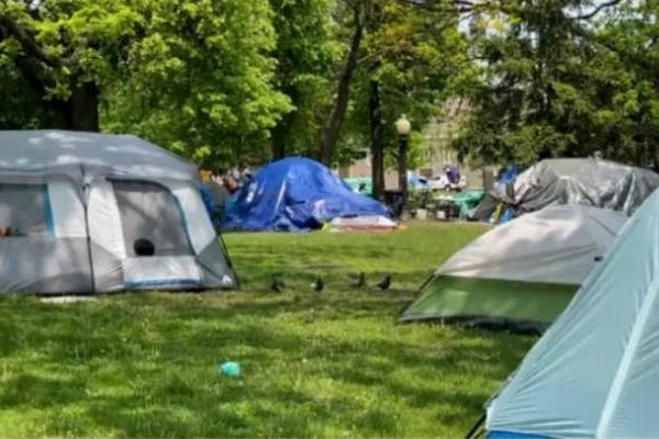缩略图 | 加拿大房主租后院空间给流浪汉，$500一个帐篷位！