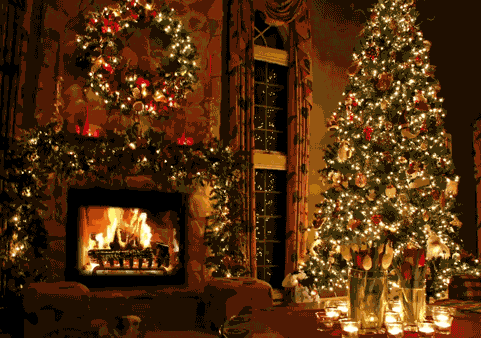 缩略图 | 【圣诞攻略】装饰圣诞树的秘诀，充满真正圣诞节的味道！