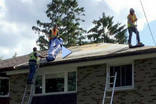 缩略图 | 加拿大老人花5.5万加元换屋顶：钱花了人跑了，重修得8000加元！