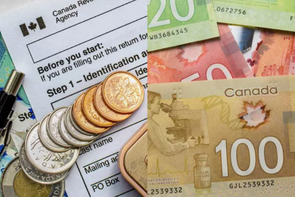 缩略图 | 加拿大税务局这14项退税政策：可抵免或少缴纳税款