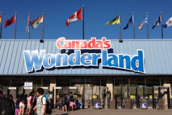 缩略图 | Wonderland开启招聘：4000个工作机会，7个岗位开放申请！