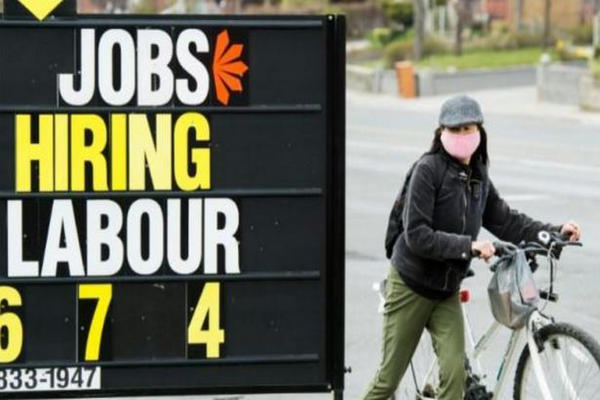 缩略图 | 加拿大9月新增6.4万个就业岗位，失业率保持在5.5%