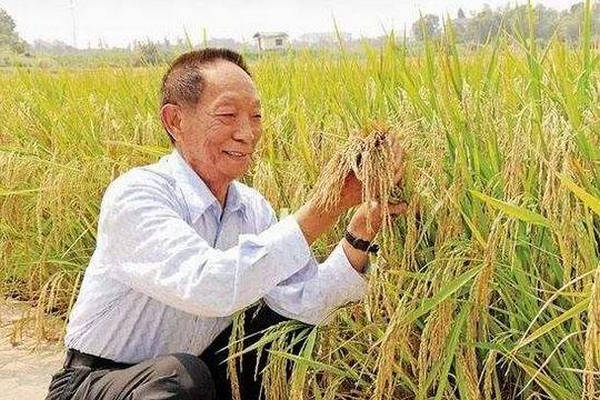 缩略图 | 袁隆平、屠呦呦故事将搬上荧屏，郑晓龙任总导演
