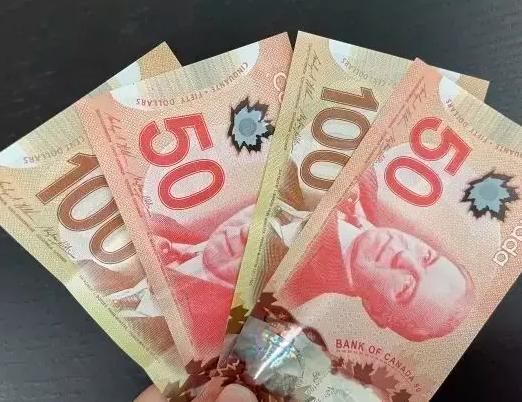 缩略图 | 安省$200支票已发99%，联邦还将发放这些福利金！