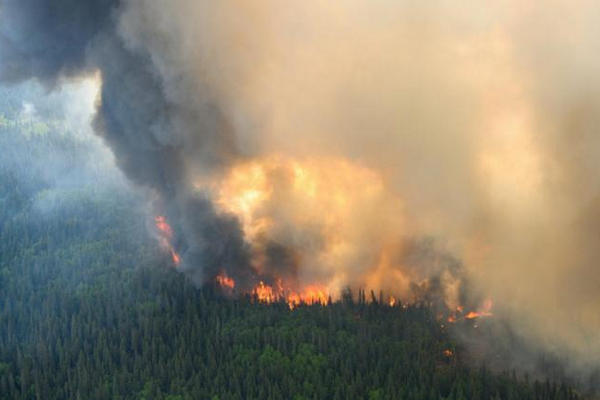 缩略图 | 加拿大山火仍有500处在燃烧，已烧了近2000万英亩！