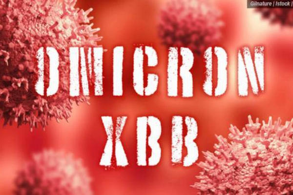 缩略图 | XBB毒株美国感染率登顶 ，很快席卷加拿大！
