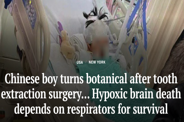 缩略图 | 5岁华裔男童拔牙变植物人，现靠呼吸器维生….