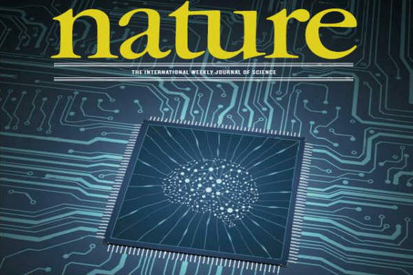 缩略图 | 零的突破！中国新型类脑计算芯片首登《自然》封面