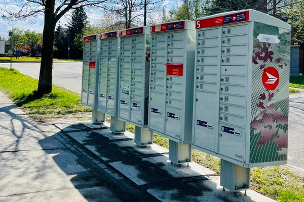 缩略图 | CRA报税新规：这些常用表格不再自动寄，流程全变了！