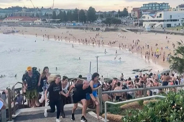 缩略图 | 澳大利亚悉尼枪击事件已致12人死亡，被定为恐怖袭击！