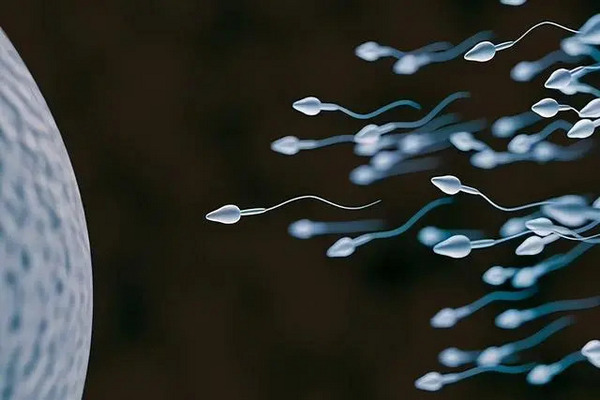 缩略图 | 科学家首次发现的生命奥秘：精子运动违背牛顿定律