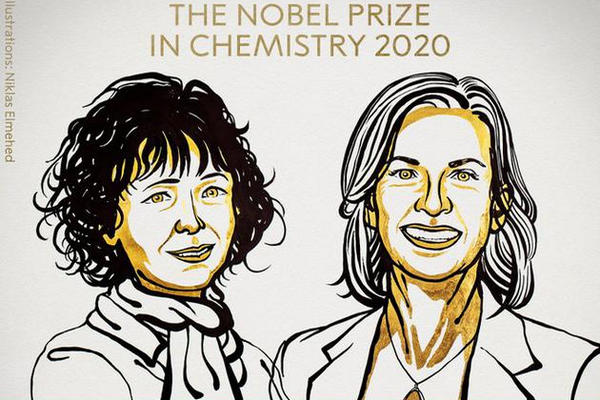 缩略图 | 2020年诺贝尔化学奖揭晓：“基因剪刀”编辑方法获奖