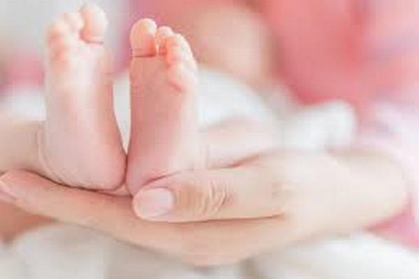 缩略图 | 英国第一批三亲婴儿诞生：有3人DNA
