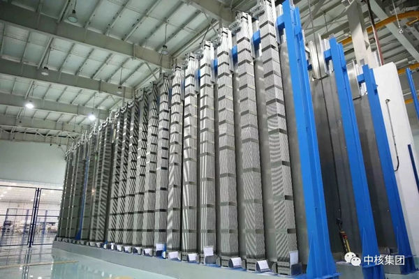 缩略图 | 【重大里程碑】AP1000全球首堆将用上“中国芯”