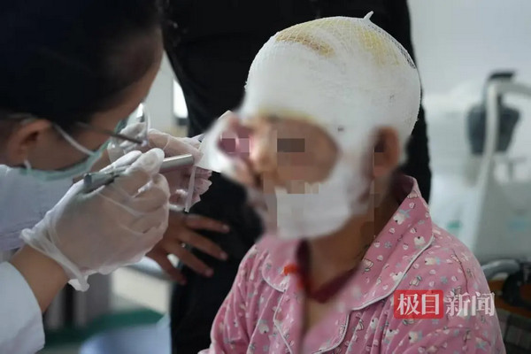 缩略图 | 孕妇遭熊袭击装死保命，6小时手术转危为安！