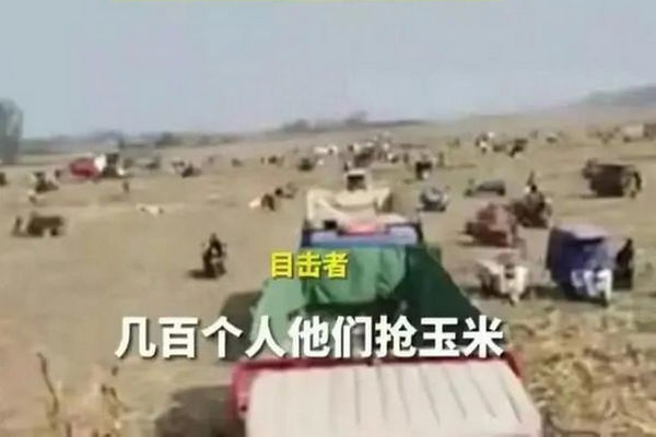 缩略图 | 媒体：上百村民哄抢，但我相信河南农民是善良的