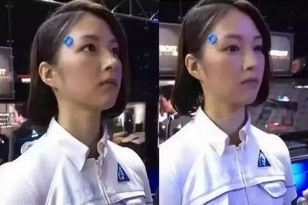 缩略图 | 日本"妻子机器人"：具备女友一切功能 ，一小时抢光！
