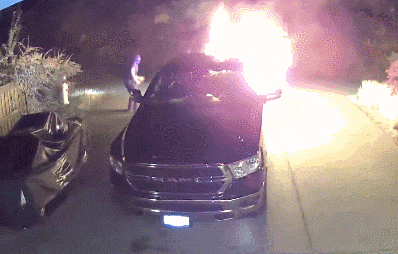 缩略图 | 加拿大2名印度留学生"纵火+枪击"：一个逃回国，另一个求轻判！