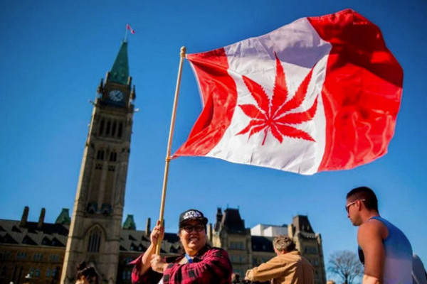 缩略图 | 这都能亏钱！加拿大政府卖大麻居然巨额亏损$4200万！