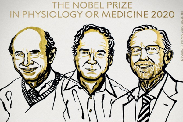 缩略图 | 2020年诺贝尔生理学或医学奖揭晓：英美科学家因“发现丙型肝炎病毒”获奖