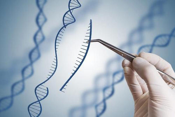 缩略图 | 获得诺贝尔奖的“基因剪刀”：重写生命编码的工具
