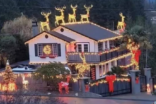 缩略图 | 加拿大妈妈布置精美圣诞装饰！邻居怒了：别卷这个社区！