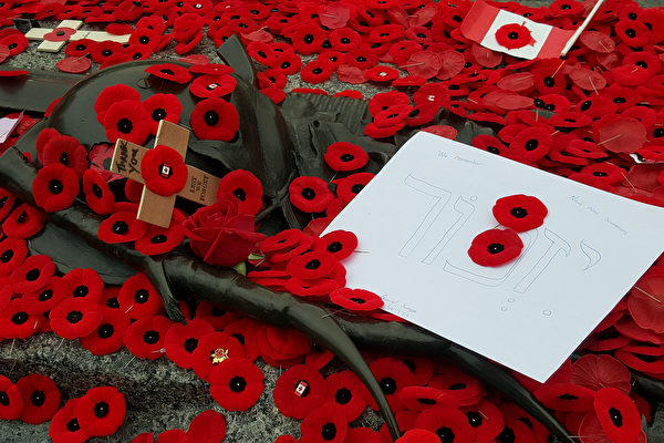 缩略图 | 加拿大国殇纪念日：延续百年的罂粟花故事