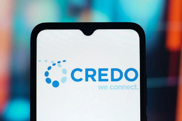 缩略图 | 两位华裔工程师，靠一根线成为亿万富豪！