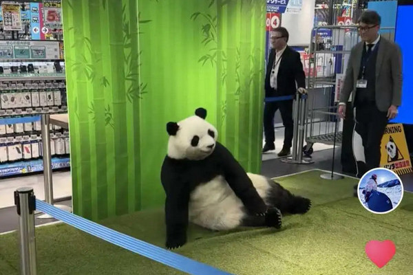 缩略图 | 笑死了！日本没熊猫了，就用人来假扮！游客：还蛮像，就是有点搞笑！