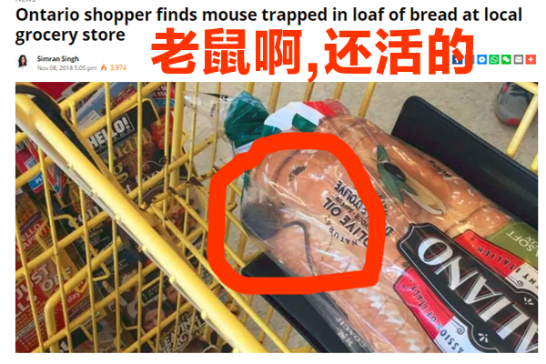 缩略图 | 【有图慎入】大家不要买这个牌子的面包啦，里面有老鼠，而且是活的！
