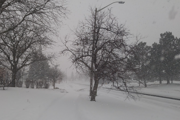 缩略图 | 危险！加拿大滑雪者在班夫雪场触发雪崩，被卷下山，埋到腰部！