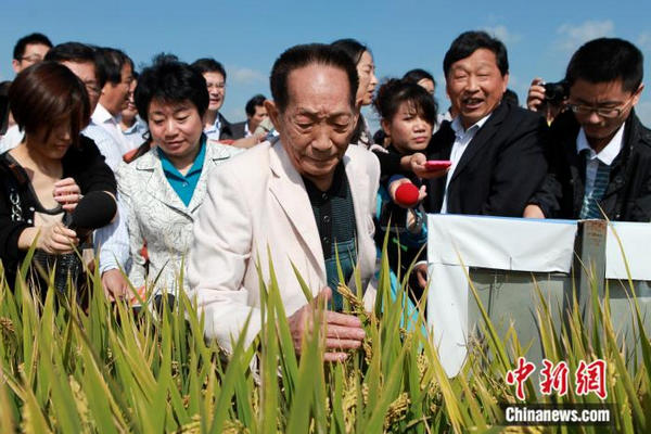 缩略图 | “杂交水稻之父”袁隆平逝世，享年91岁