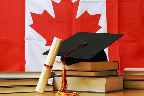缩略图 | 挣扎！加拿大23岁留学生刚来一年就计划回国：看不到未来了