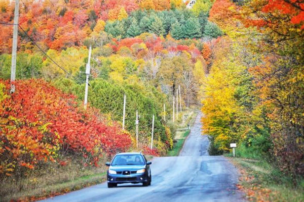 缩略图 | 加拿大最美季节临近！安省10条绝美赏枫自驾游路线抢先看！