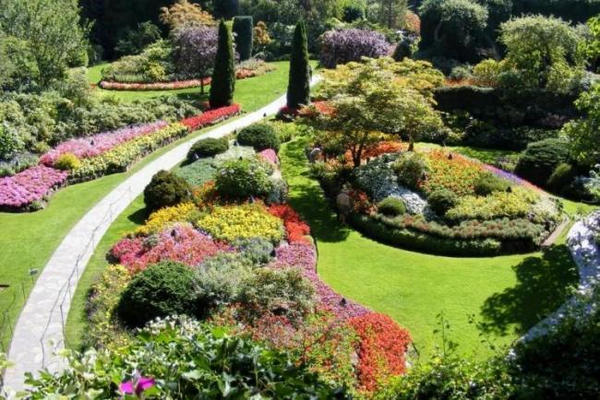 缩略图 | 全球“最美丽花田“排行榜：BC知名花园入榜