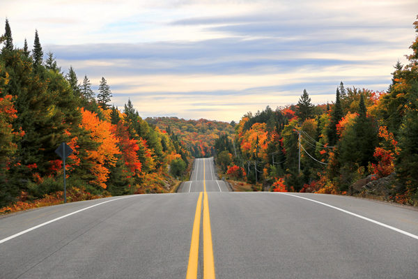 缩略图 | 加拿大的两个景点被评为北美观赏秋叶的最佳地点！