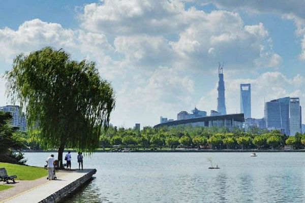 缩略图 | 上海最美的公园，不输美国纽约中央公园