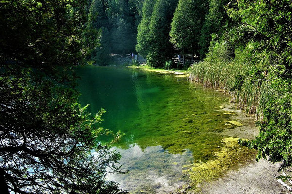 缩略图 | 安省的克劳福德湖保护区：一个令人惊叹的自然奇观