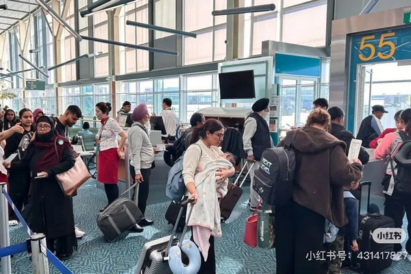缩略图 | 温哥华飞香港航班大乱：大批印度人轮椅排队，狂吃特殊餐！